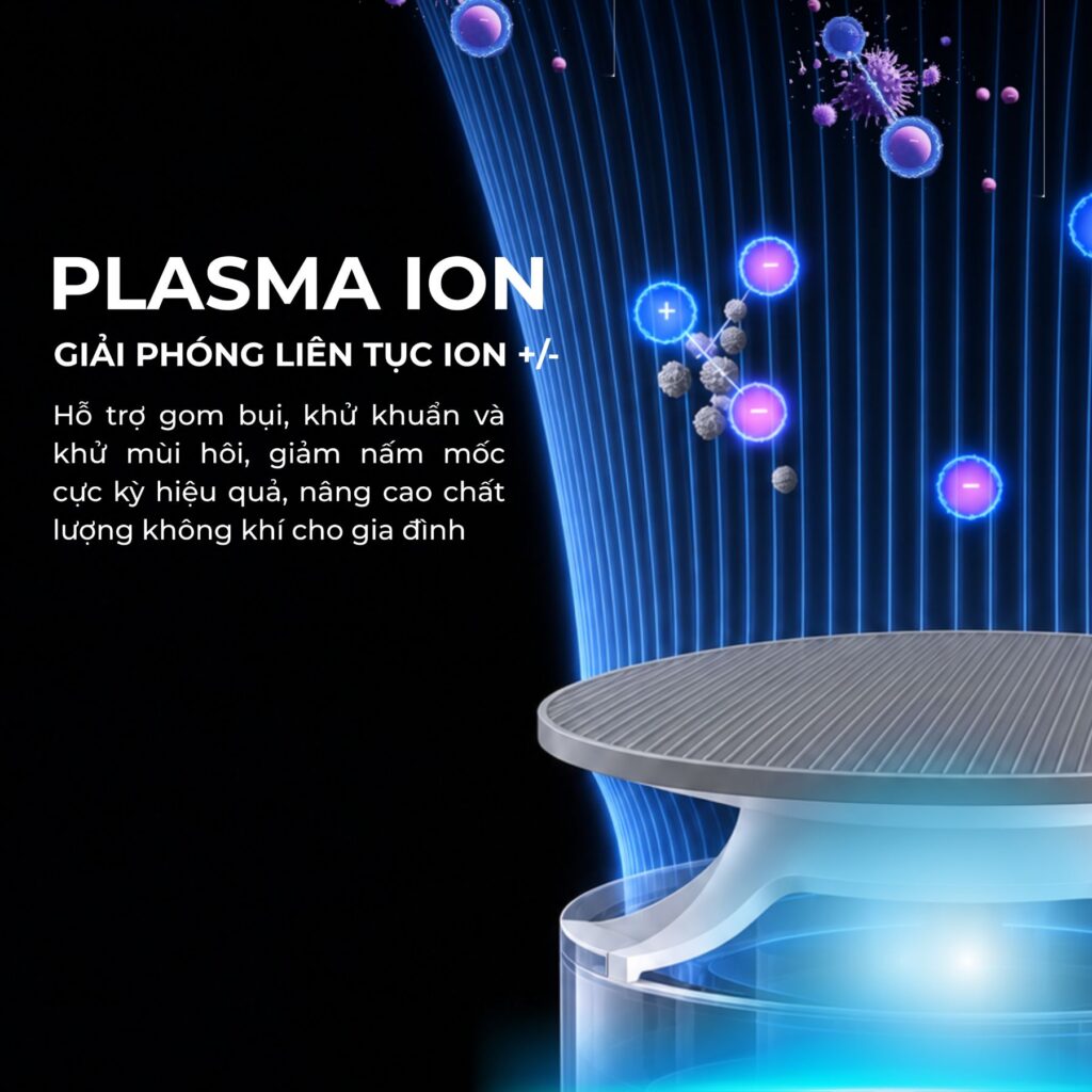 Plasma Ion
